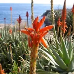 Apartments Parque Mar Cala D\'Or 2 Bedrooms